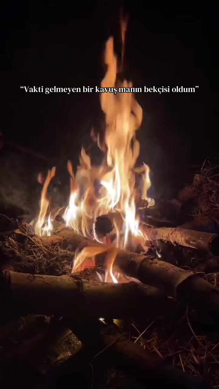 @Harun Biyik