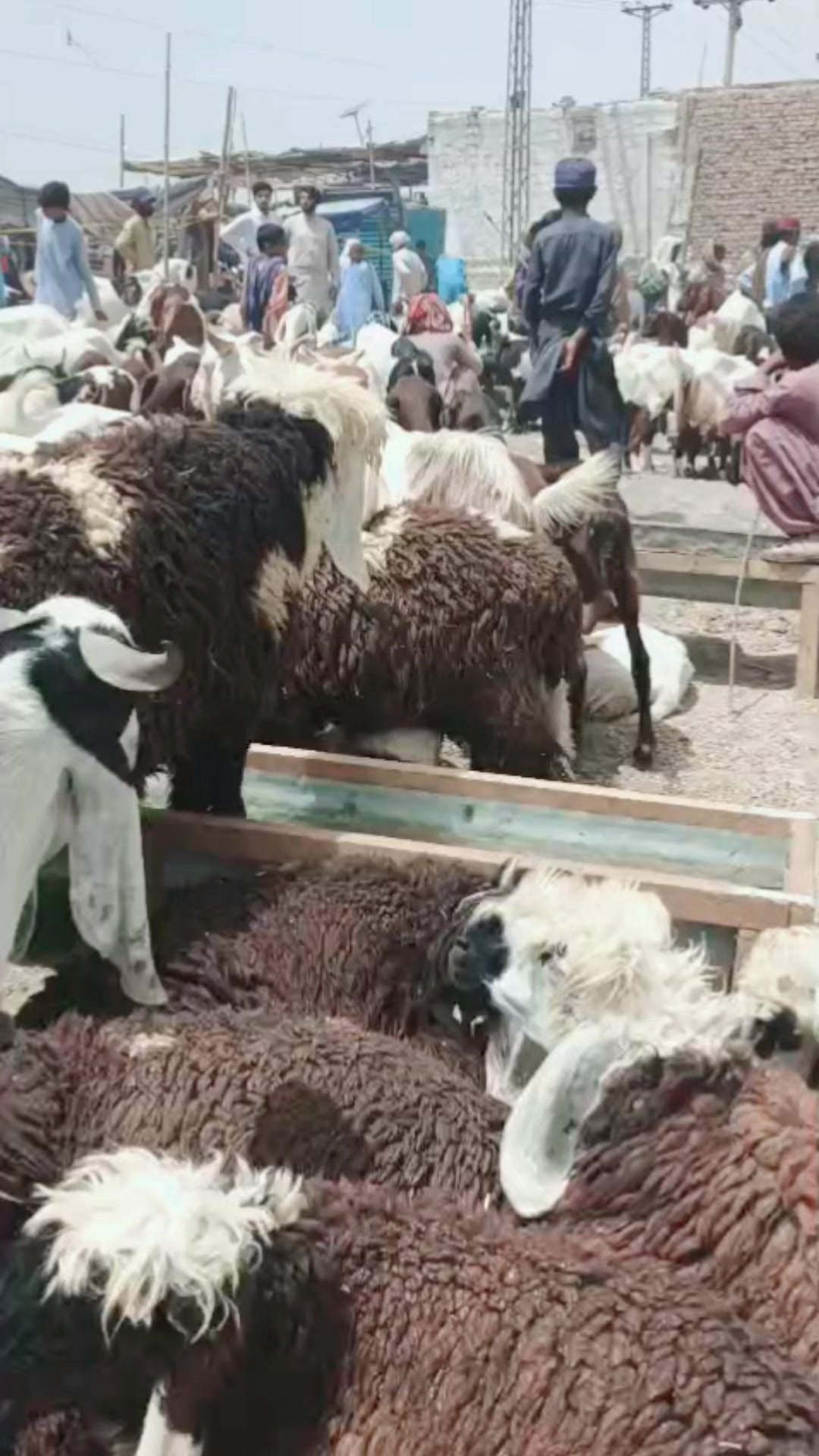 @Mir Sami Baloch