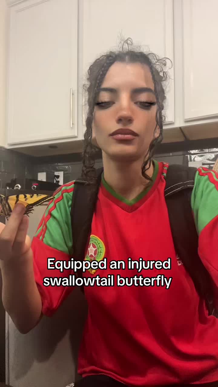 @ⵣQueen.Dínoⵣ