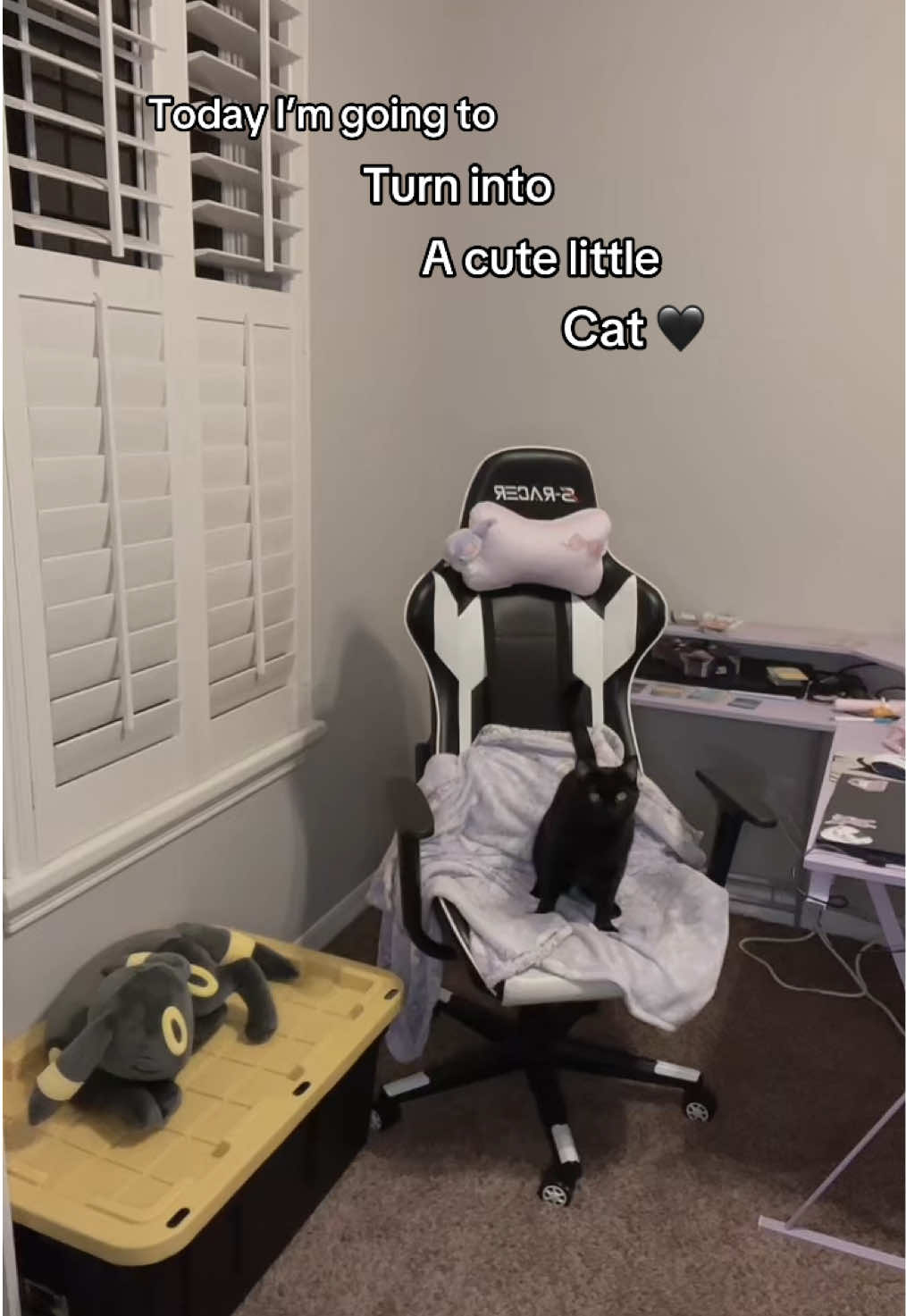 @Mochii Butt