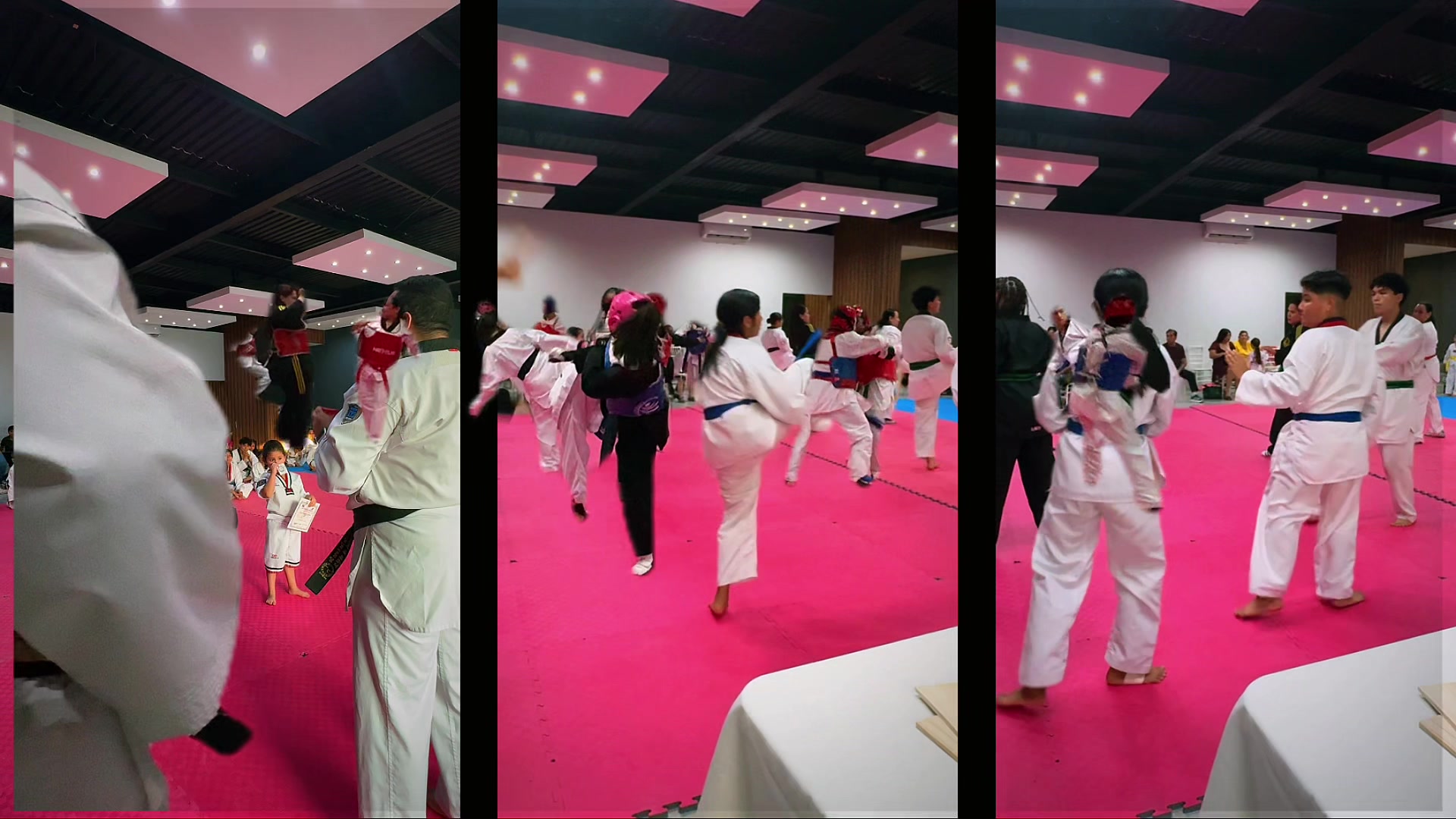 @taekwondolionsteam