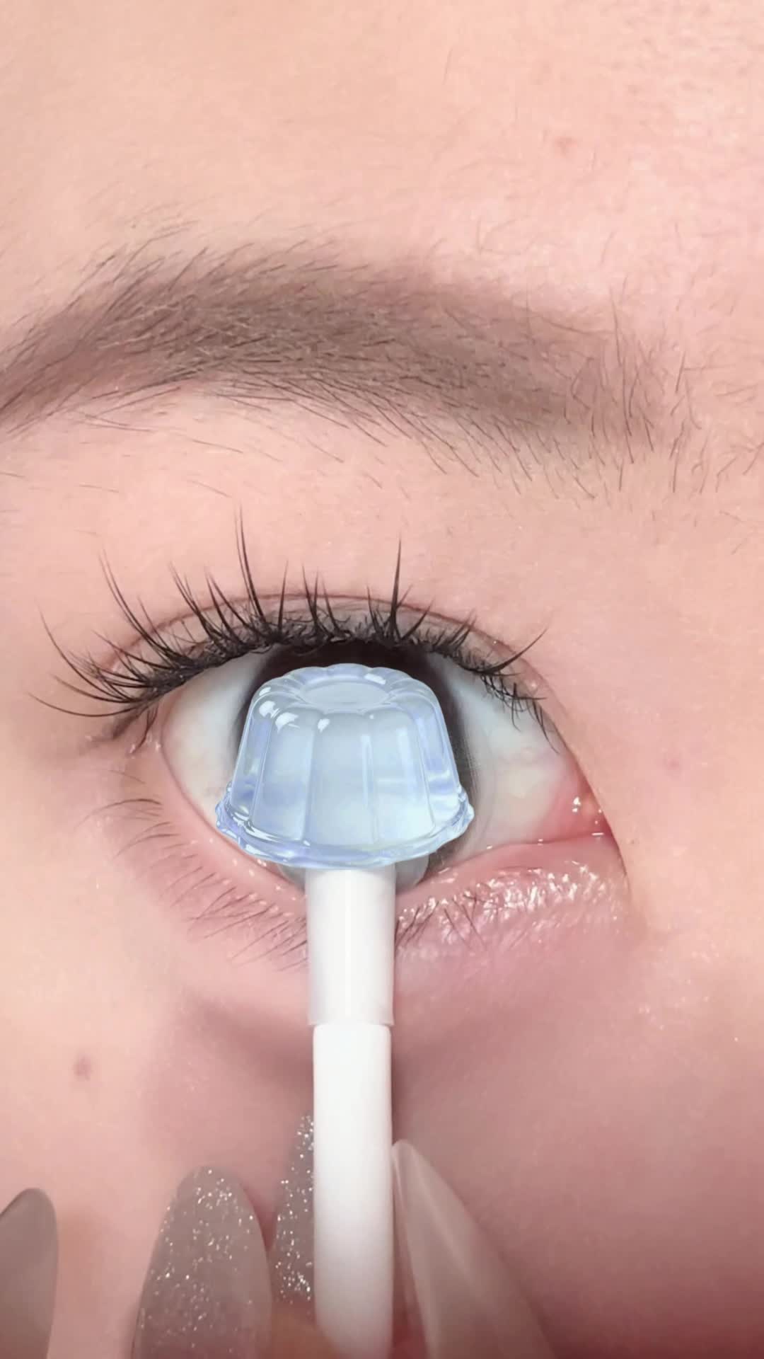 @sigocontacts_official