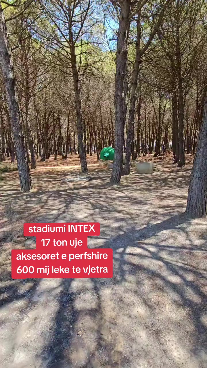 @intex albania