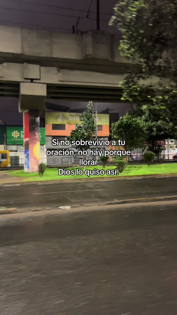 @Dg——20