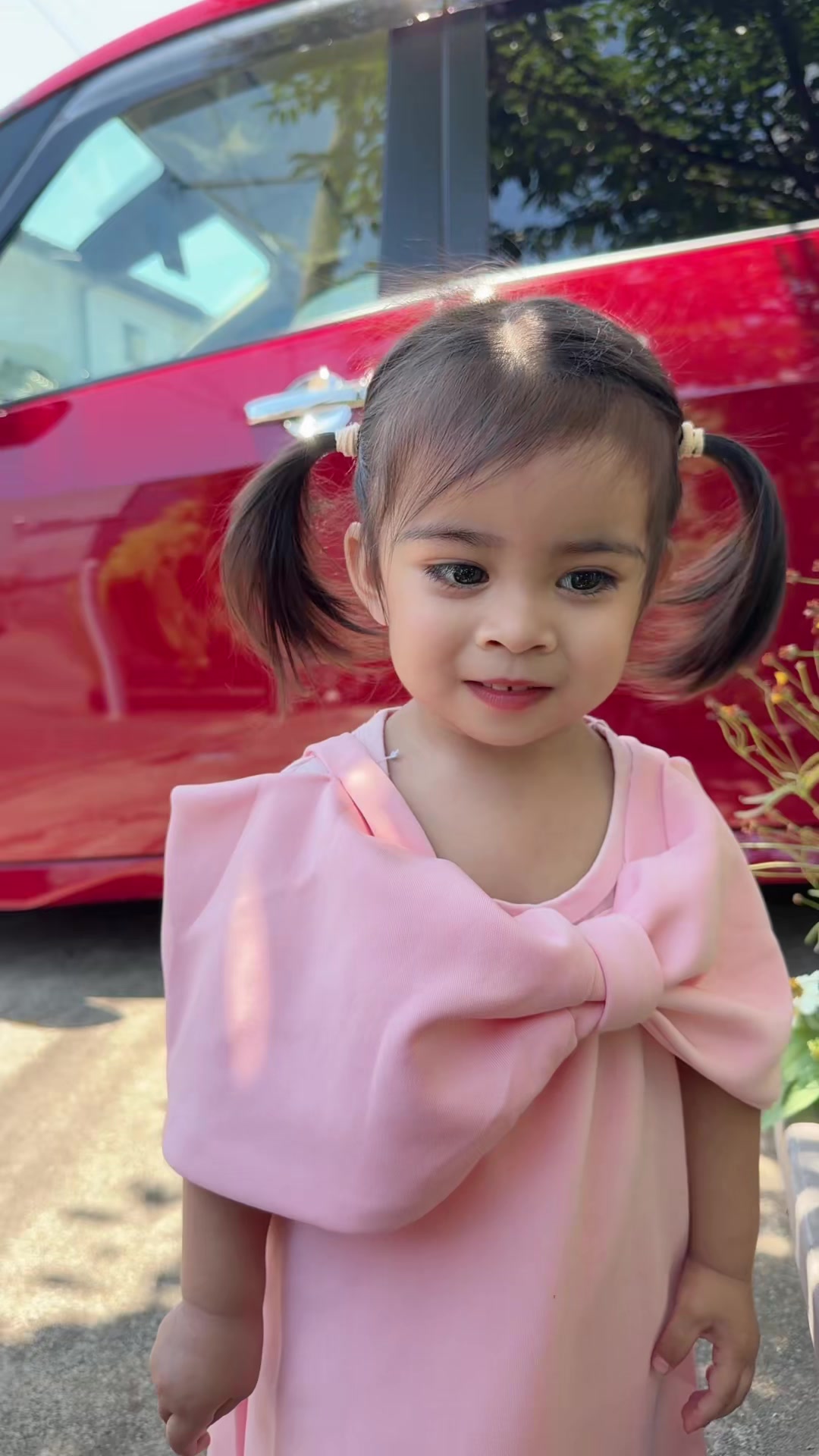 @Safwan Shanaya&rsquo;s Family Vlog