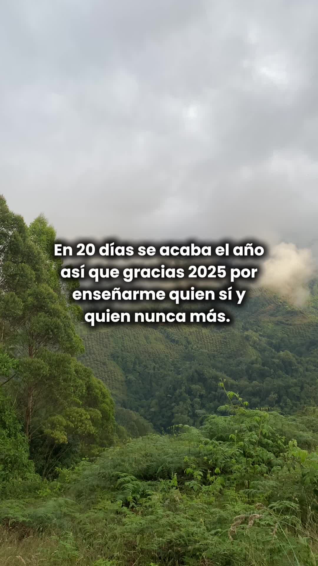 @origen la linea