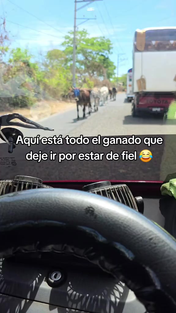 @lanenamejia