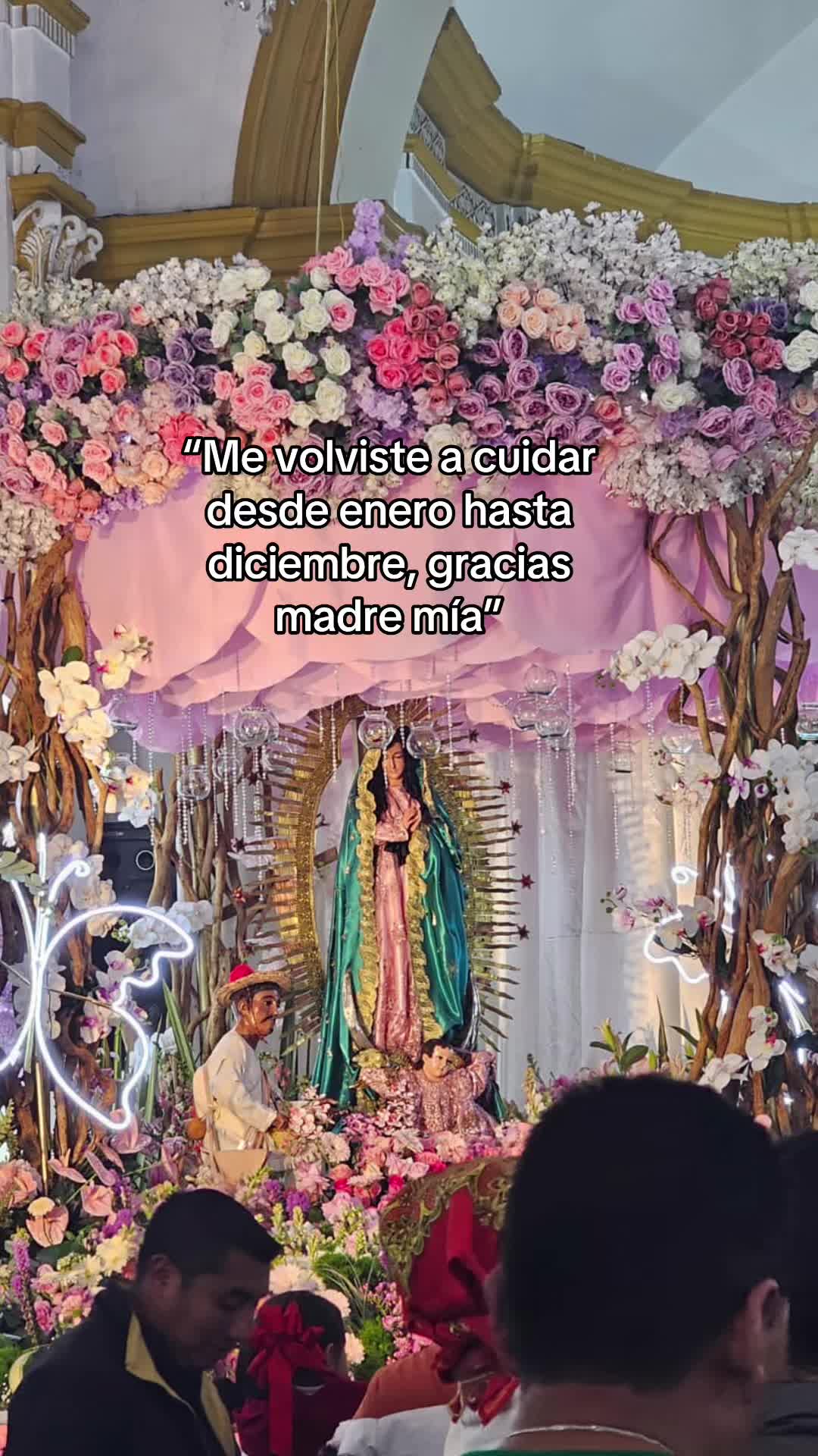 @Barbara gome