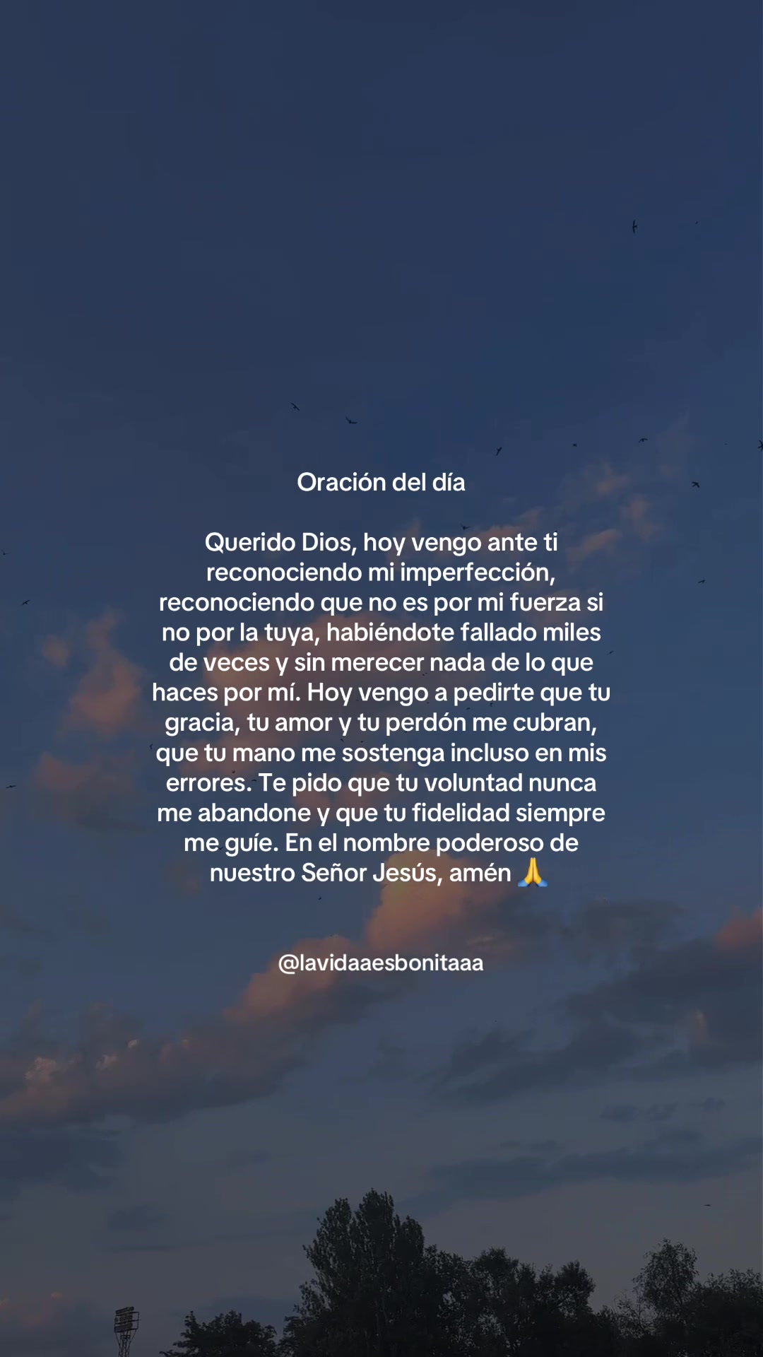 @vidabonita❤️&zwj;🩹
