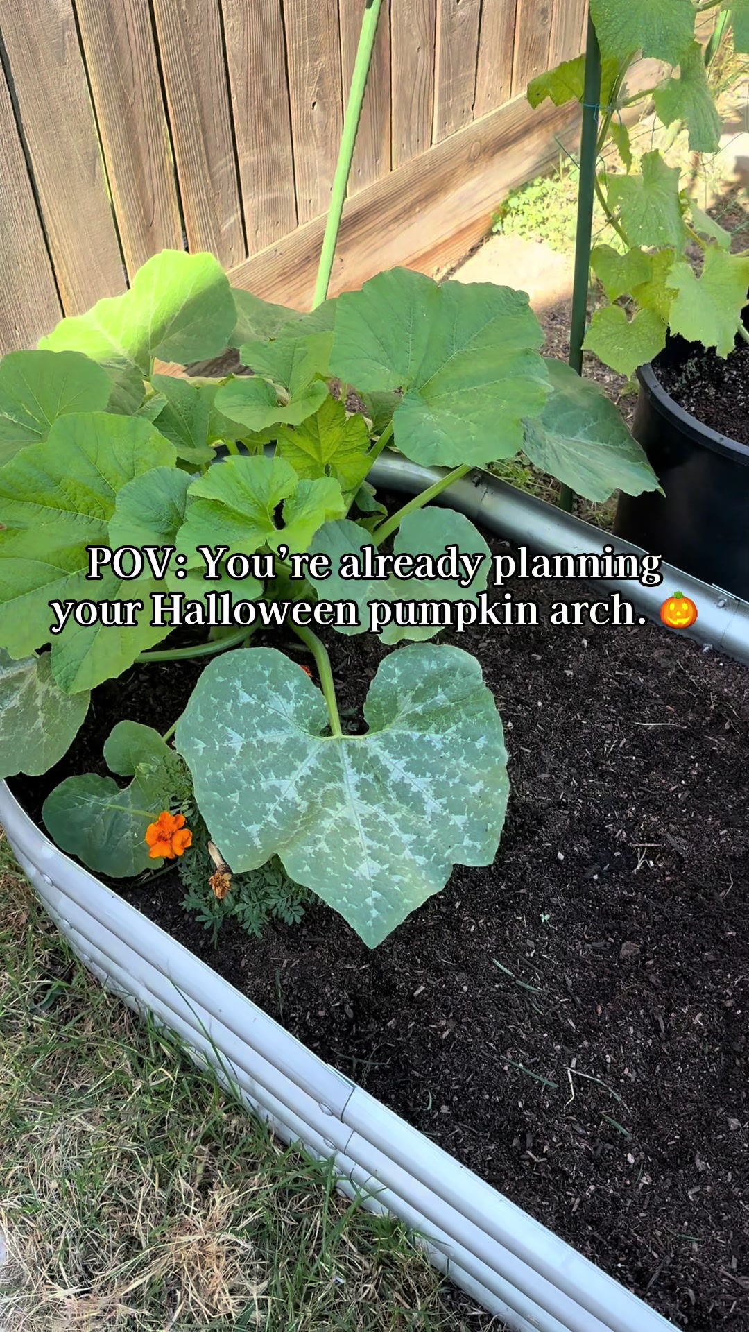 @plantingwithe