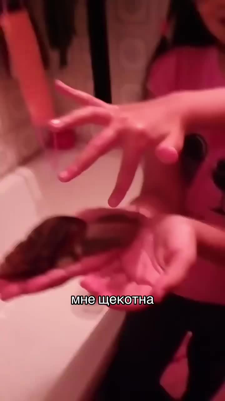 @геляч🤓