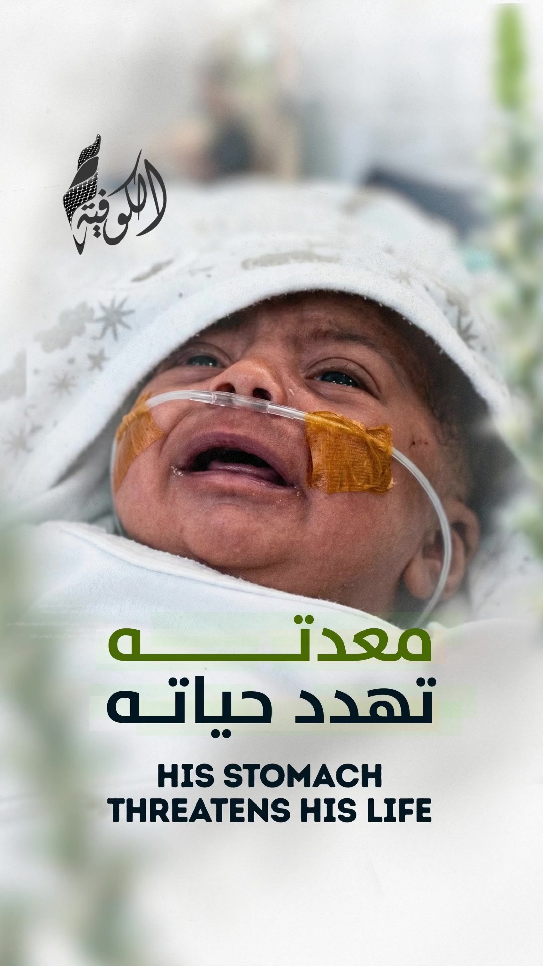 @Alkofiya Tv