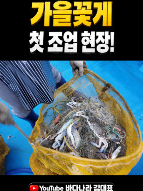 @바다나라김대표