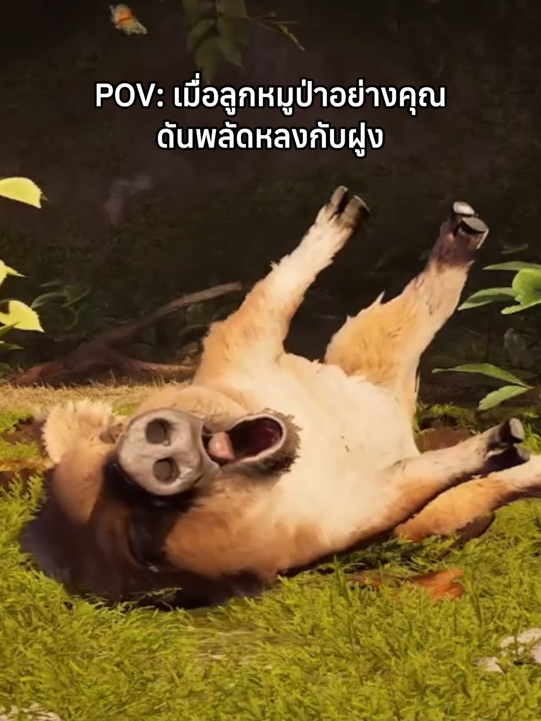 @sonjokey