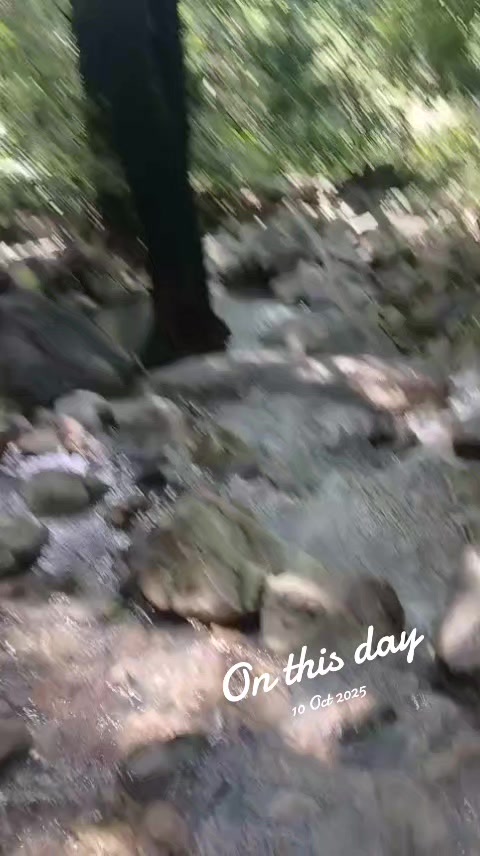 @muj627