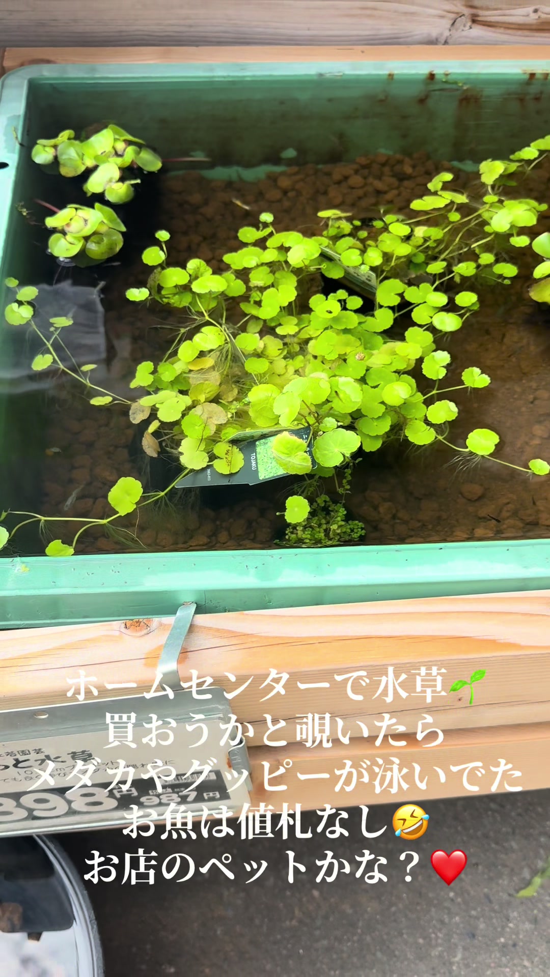 @なるみ（narumi）