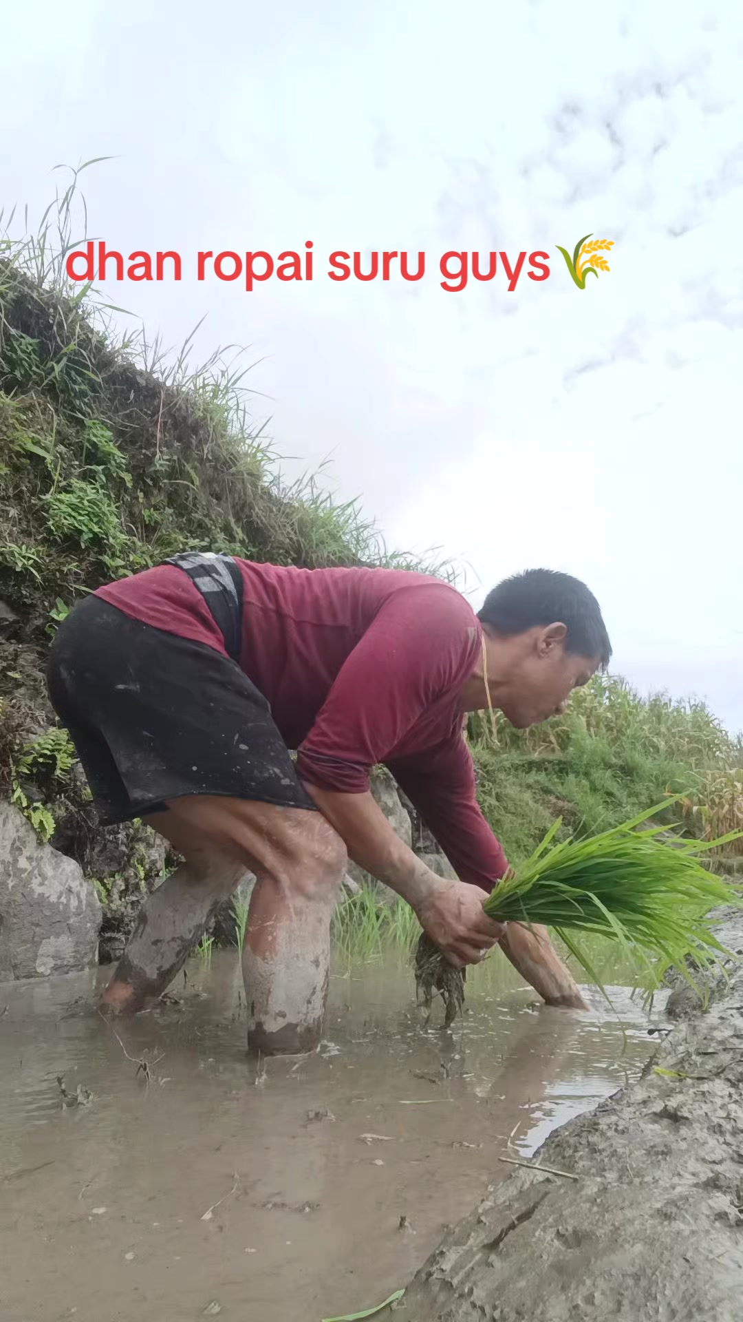 @수마너