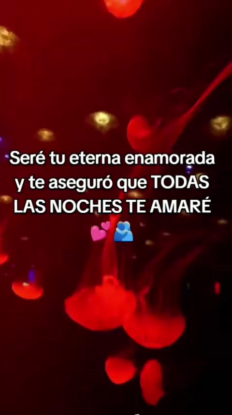 @Jocelyn Sauria Rex 🐦&zwj;🔥🦊🦖❤️