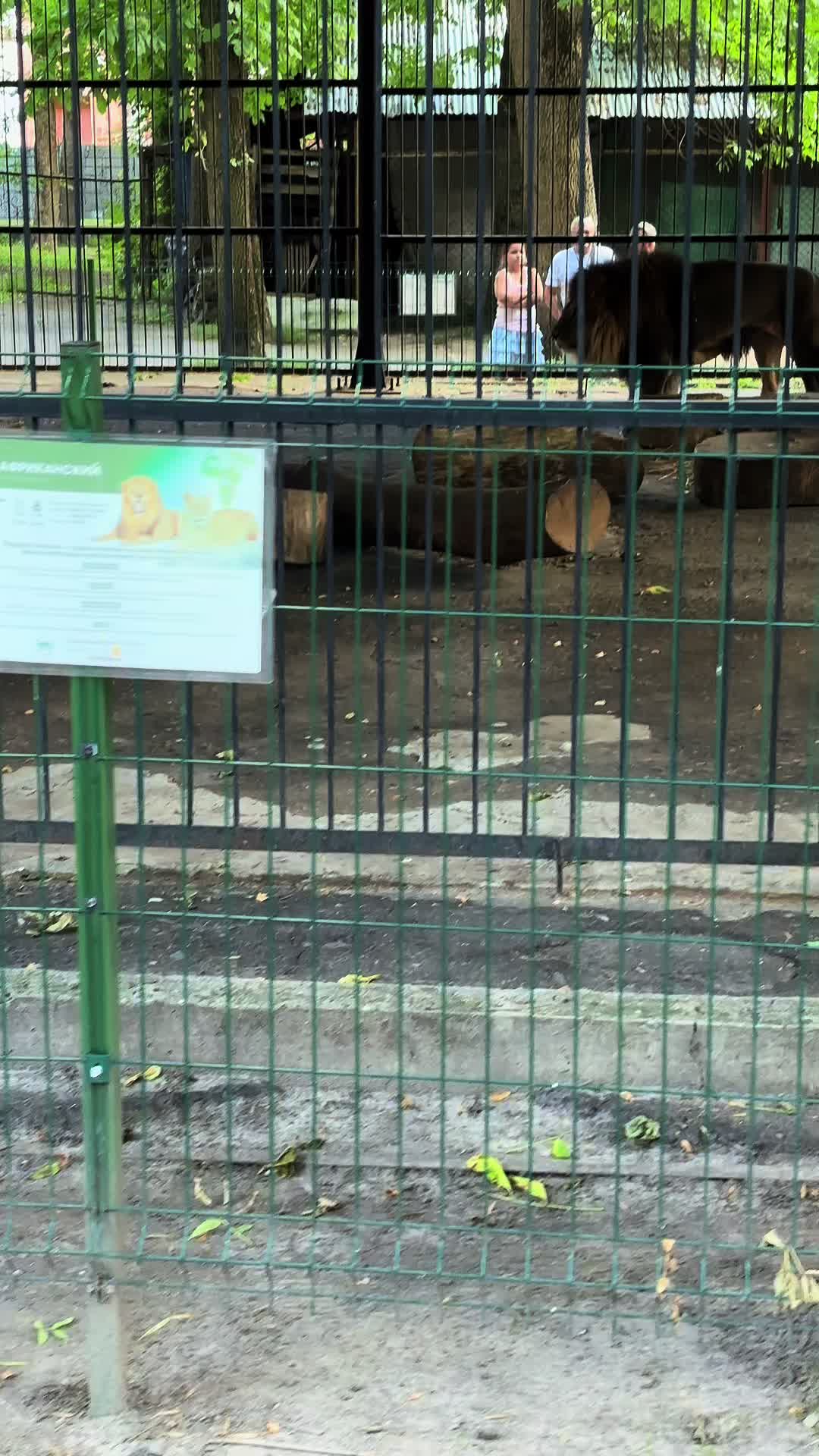 @трубадурочка