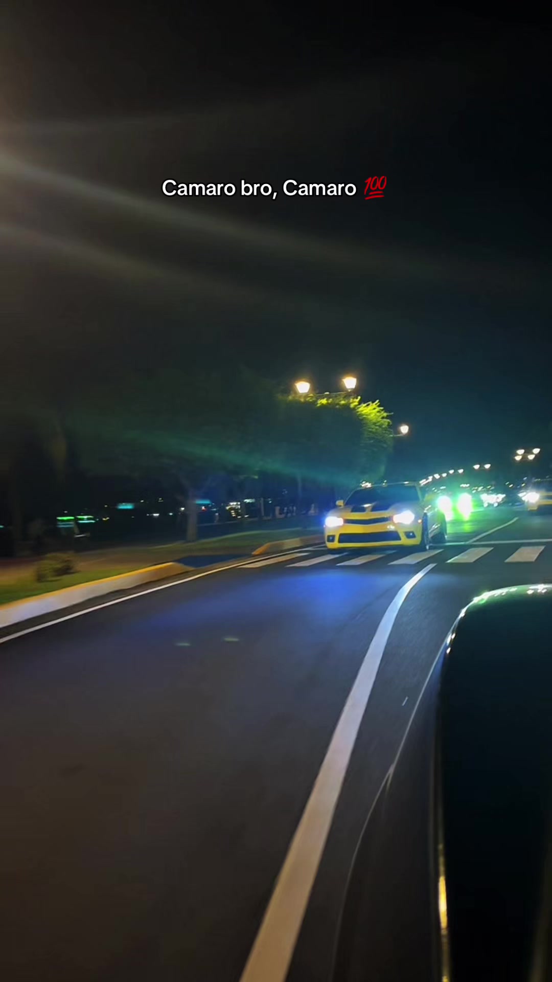 @Red Camaro👺