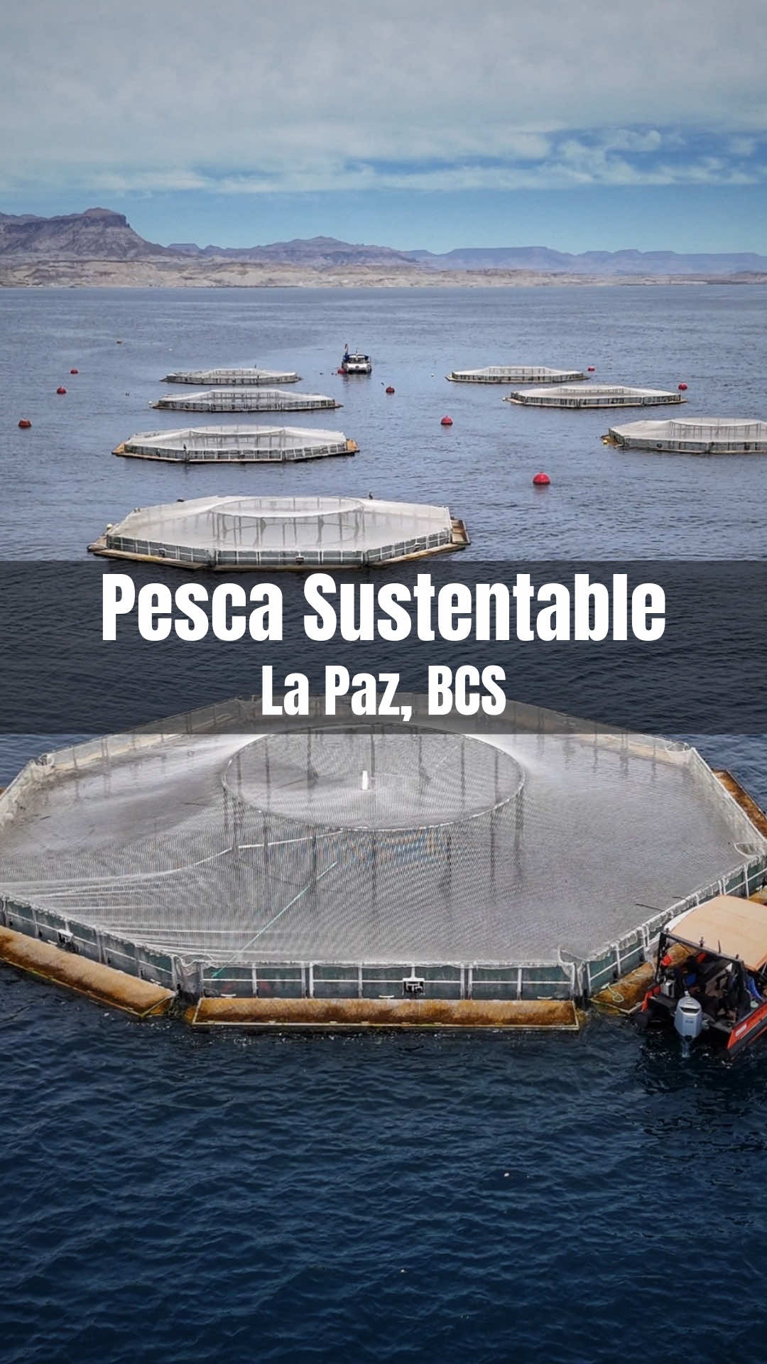 @Comidistas