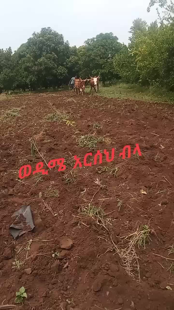 @አሠረኛዉ6168
