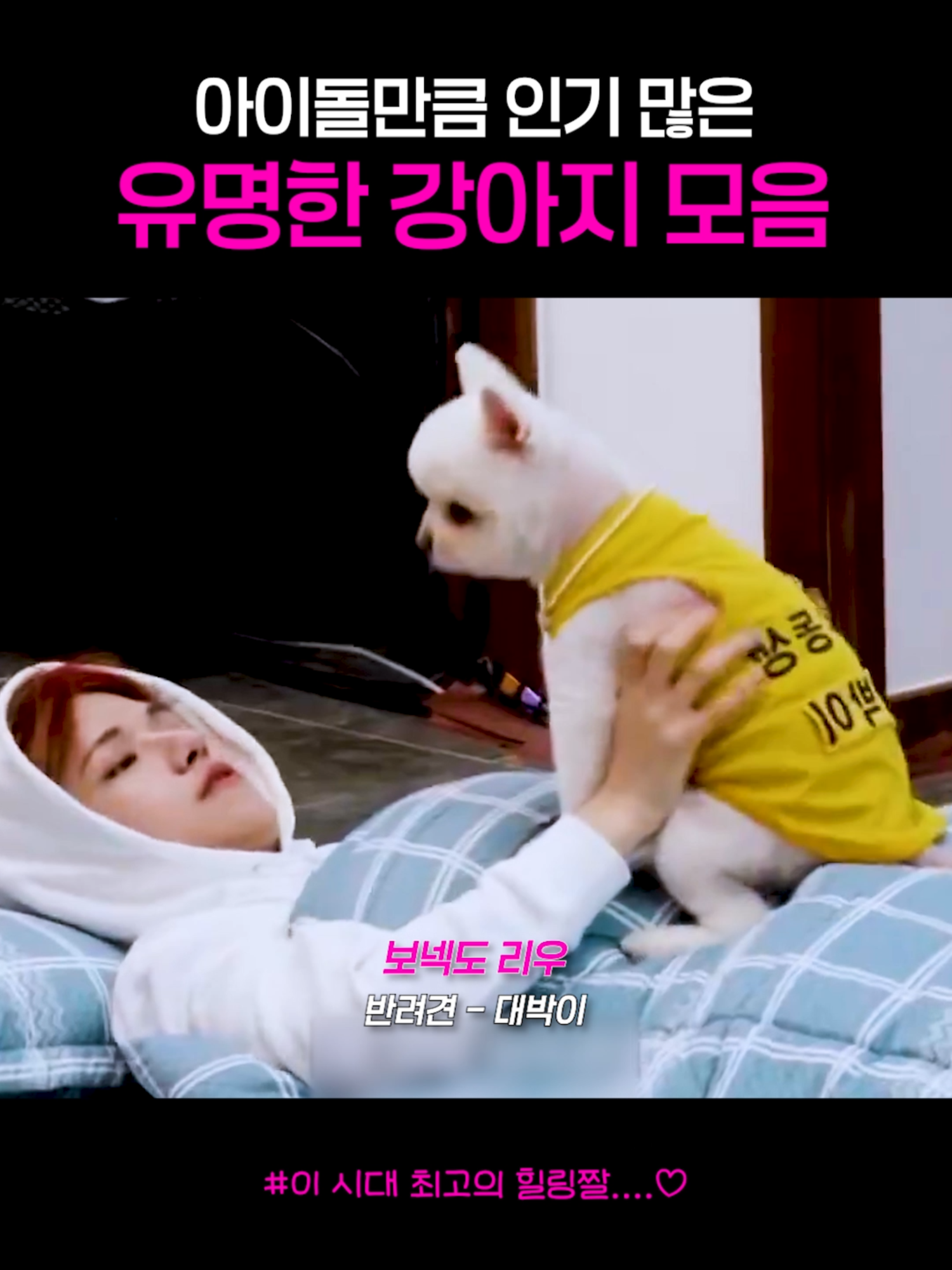 @아이돌주접💕