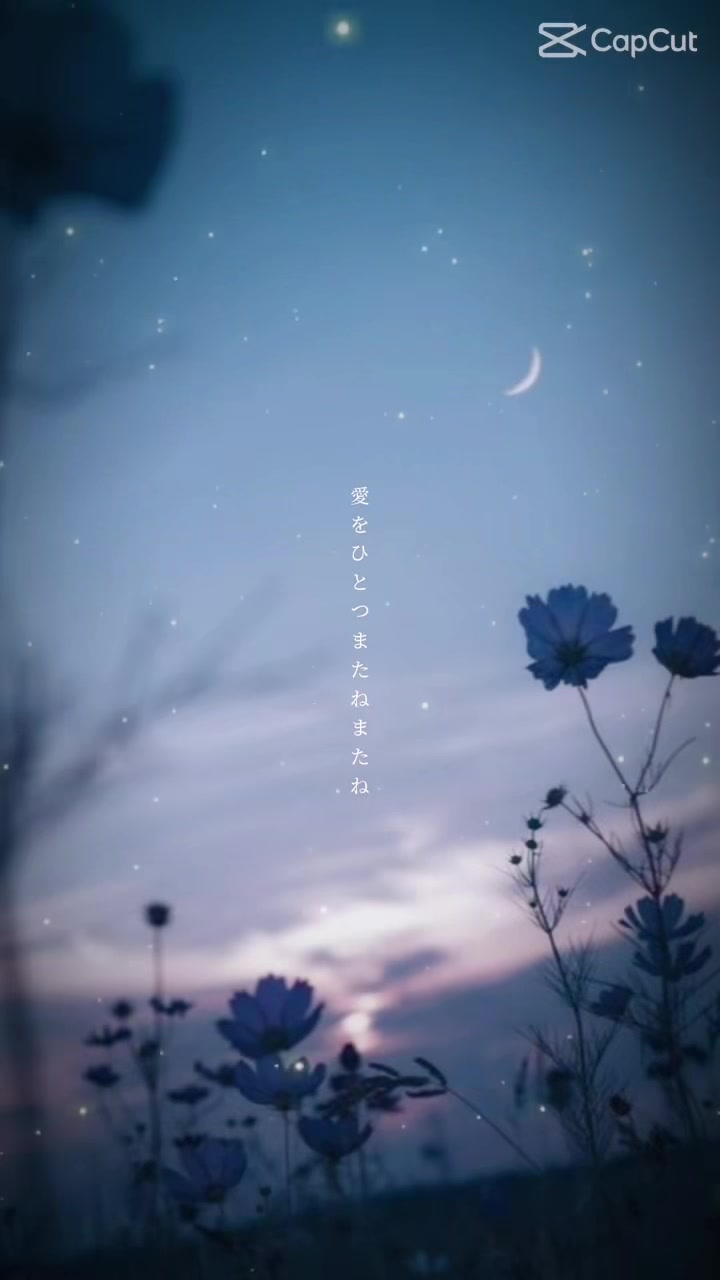 @💜🧸みーちゃま🧸💜🦋💫🎸
