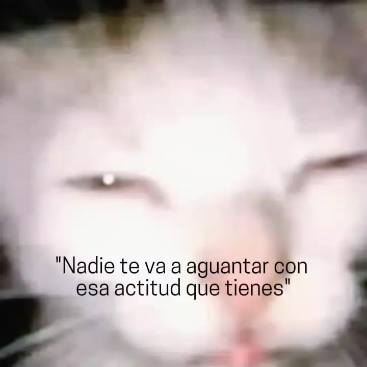 @delfi😝🖕