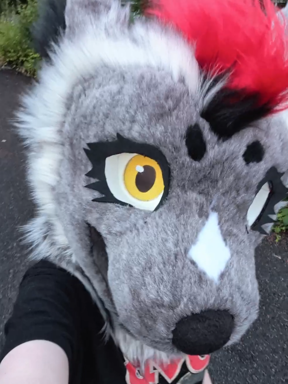 @Frostbite_