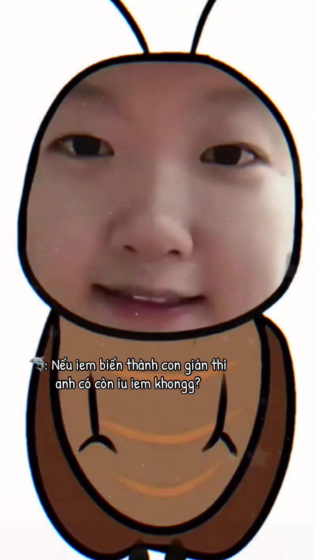 @玉米🌽