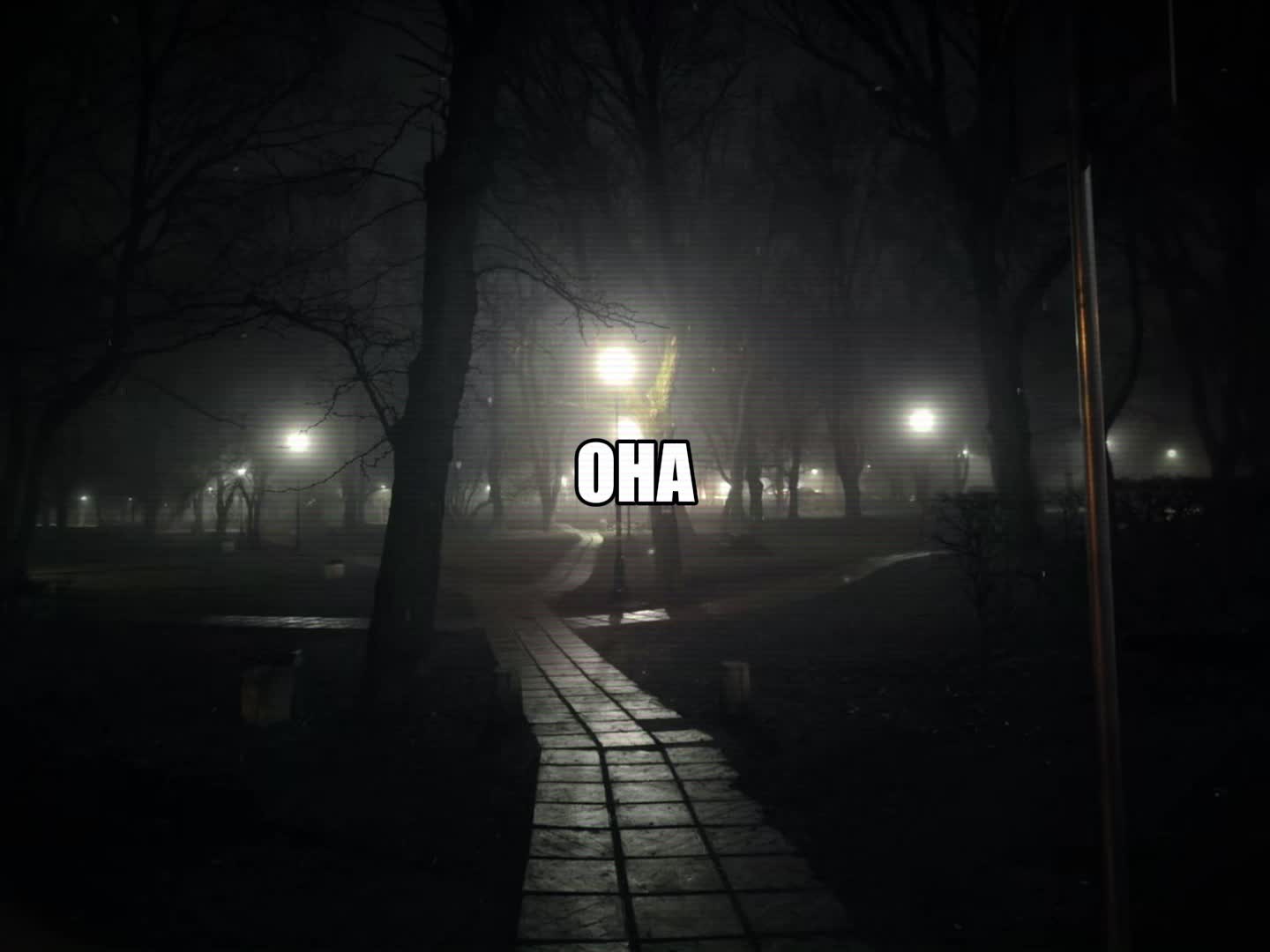 @ikraposev