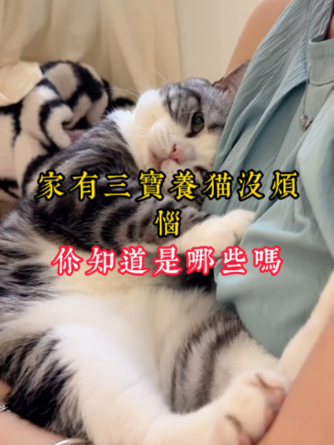 @catology