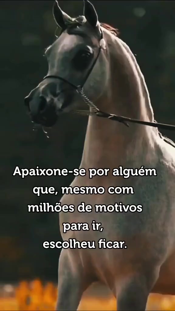 @Pedro_Paulo.oficial