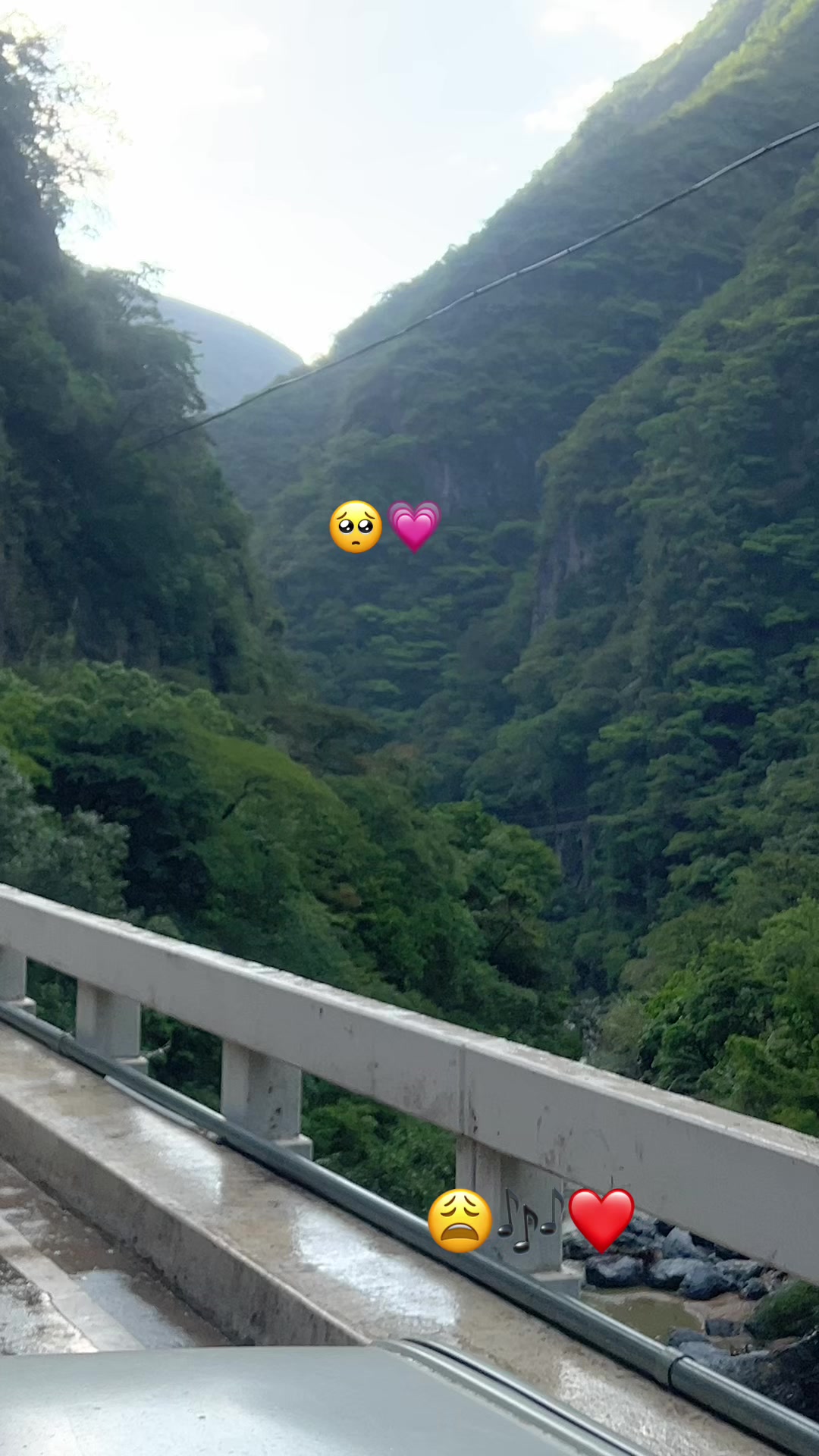 @Florecita🖤🤍🌻🍓