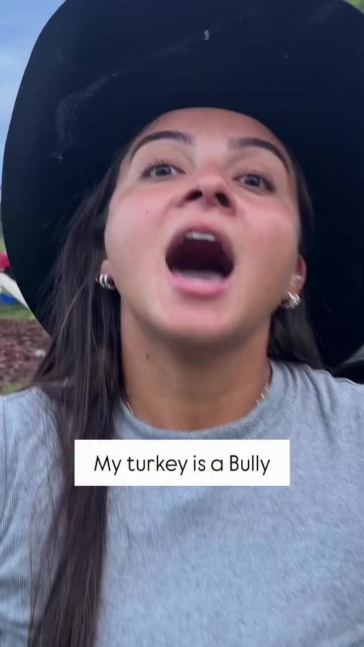 @Talita