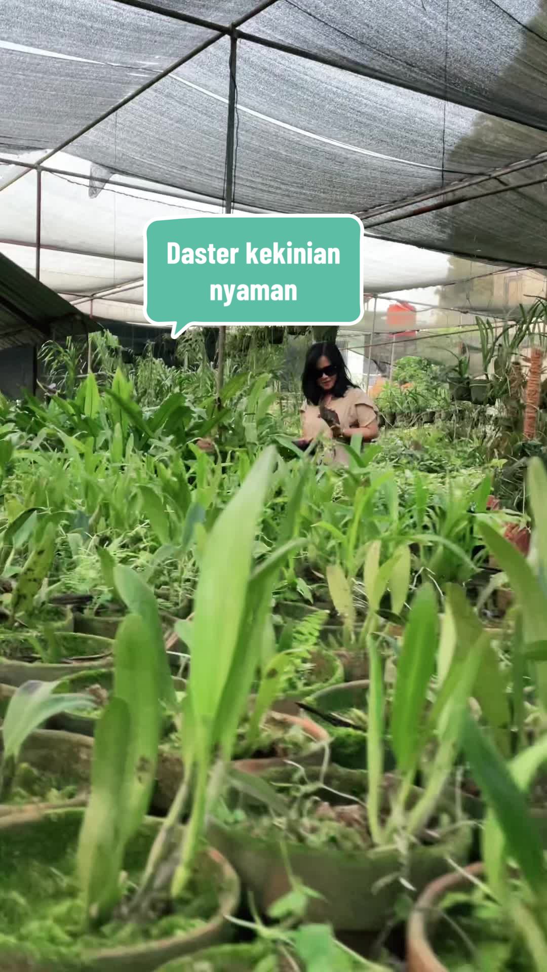 @narkissos