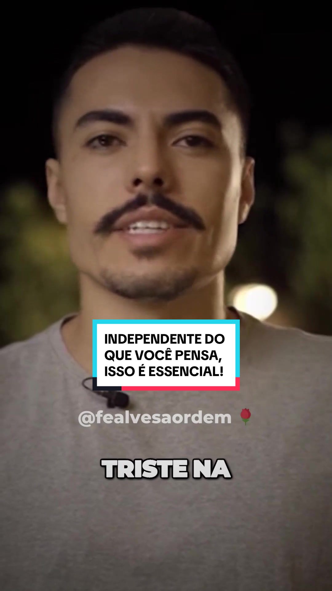 @Fê Alves | A Ordem 🌹