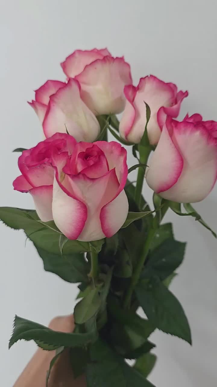 @바라24