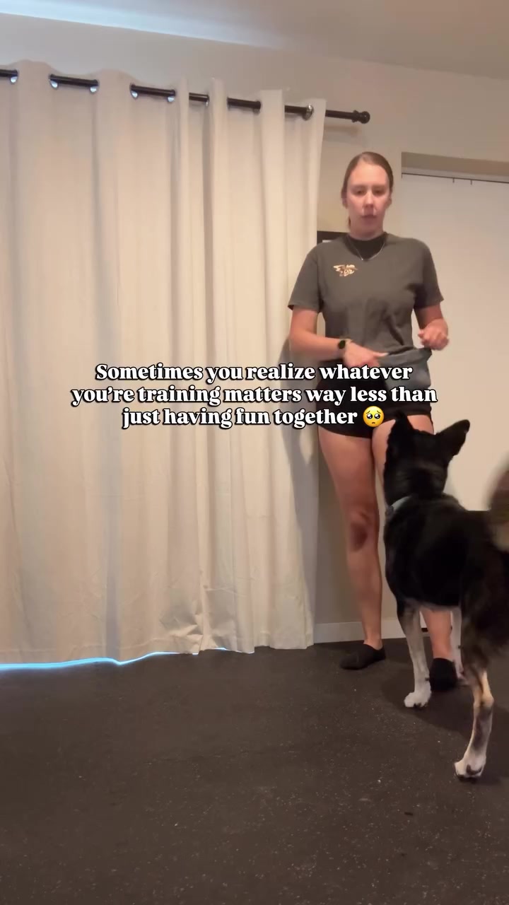 @Marissa | K9 Fitness Coach 🐾