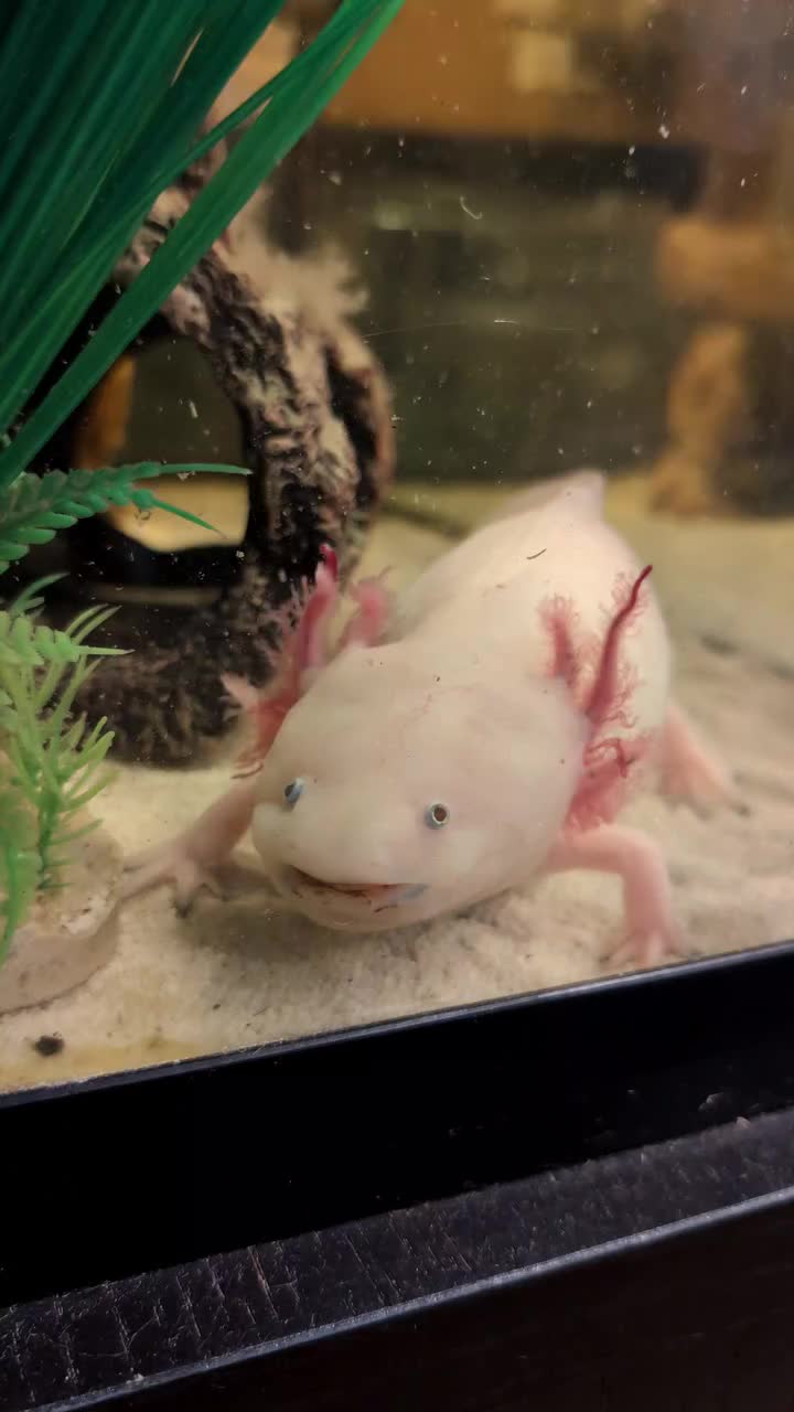 @Carly | Pet + Home Creator
