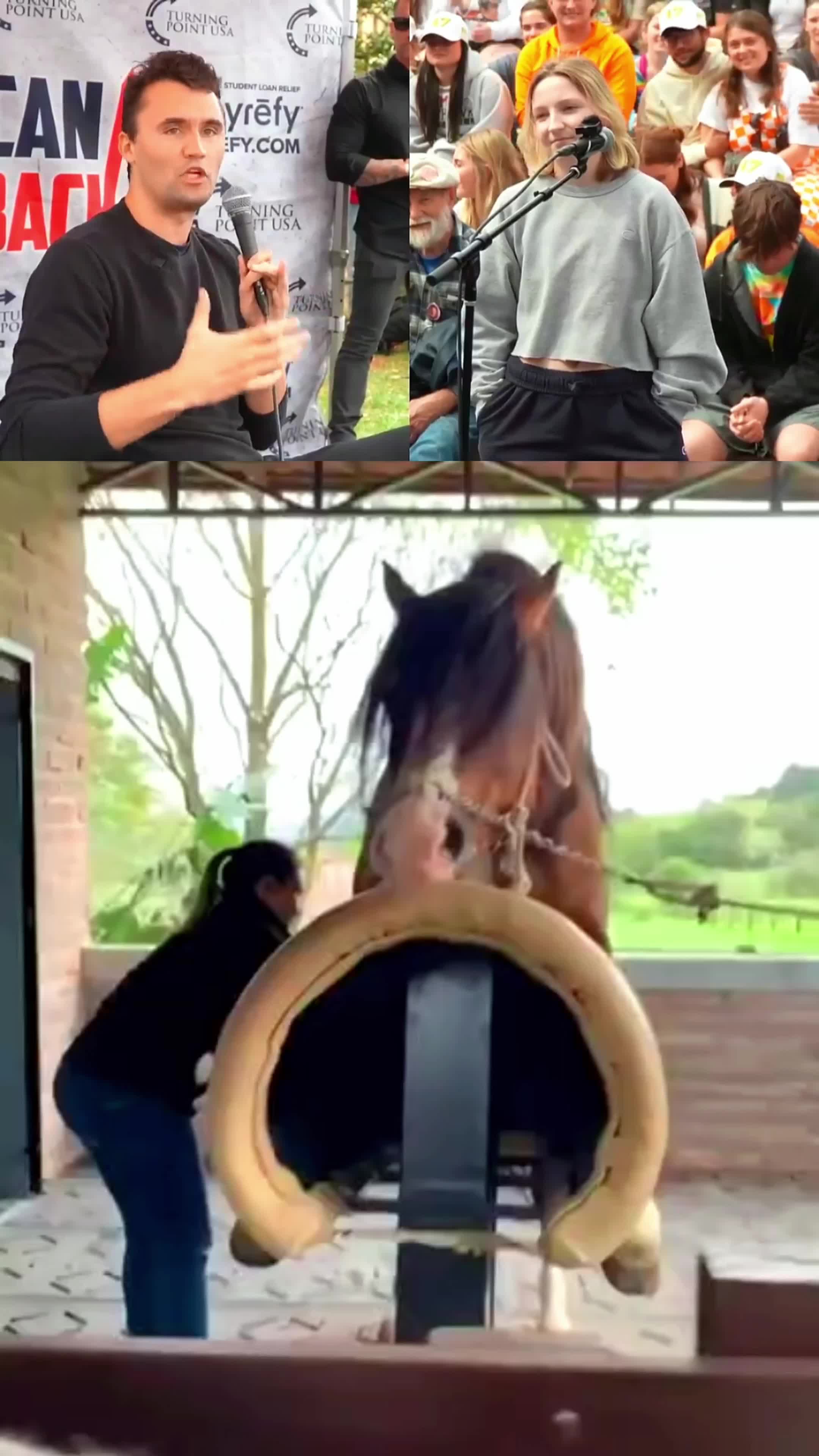 @horselife015