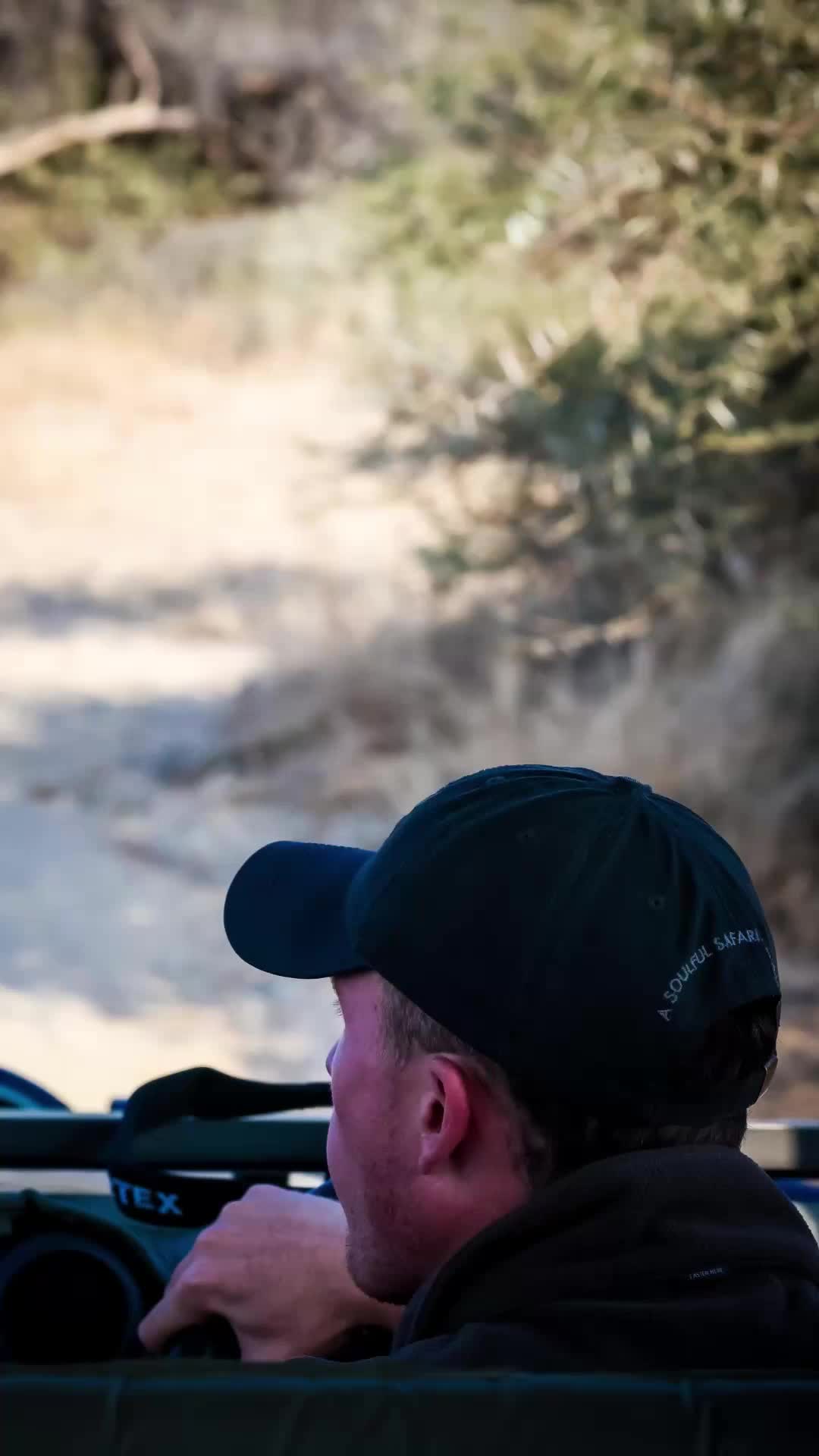 @Jabulani Safari