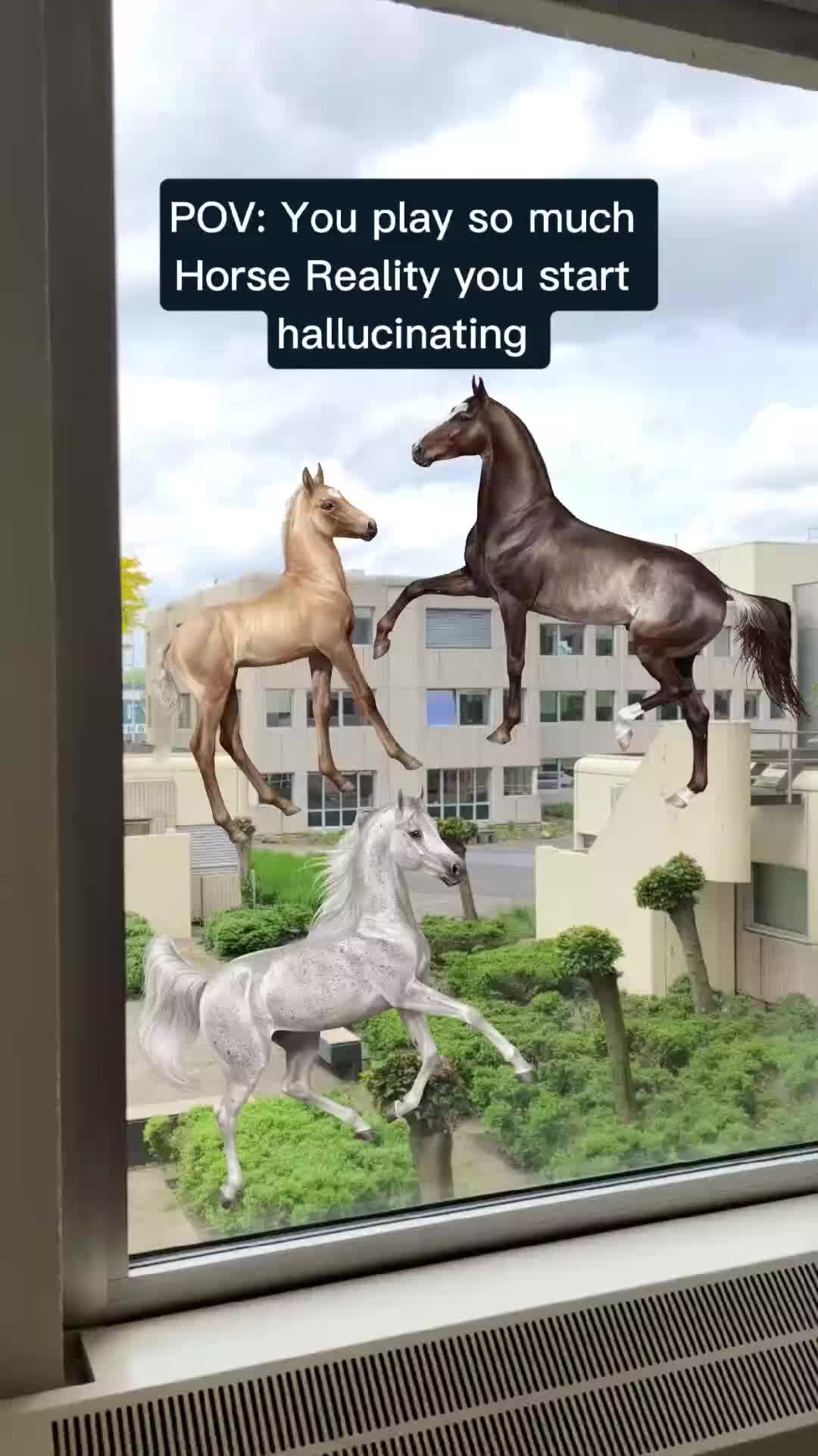 @Horse Reality