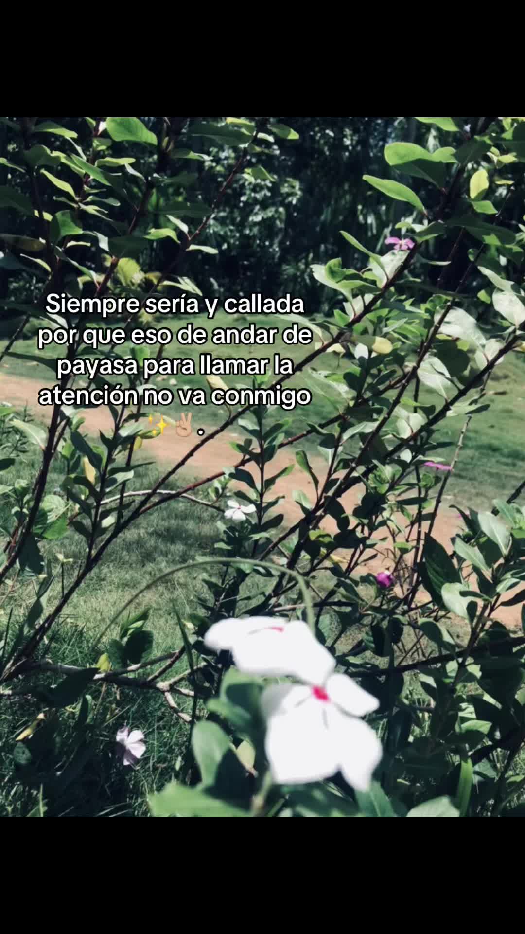 @⭑.