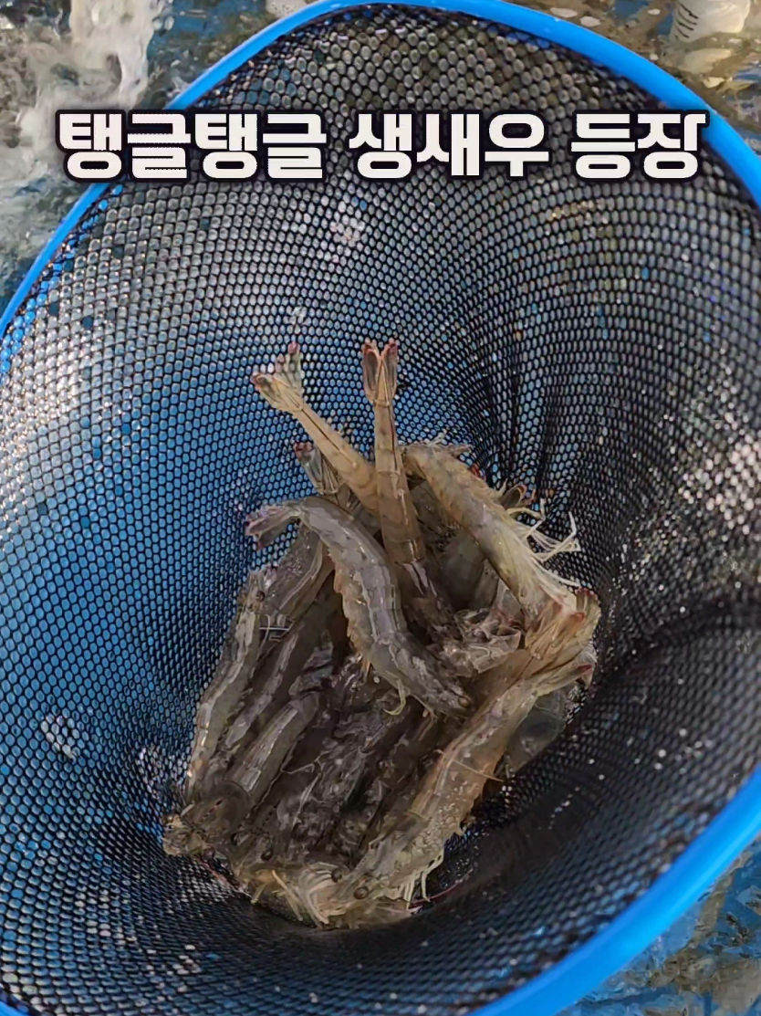 @먹장군 - 인천맛집 경기맛집 서울맛집