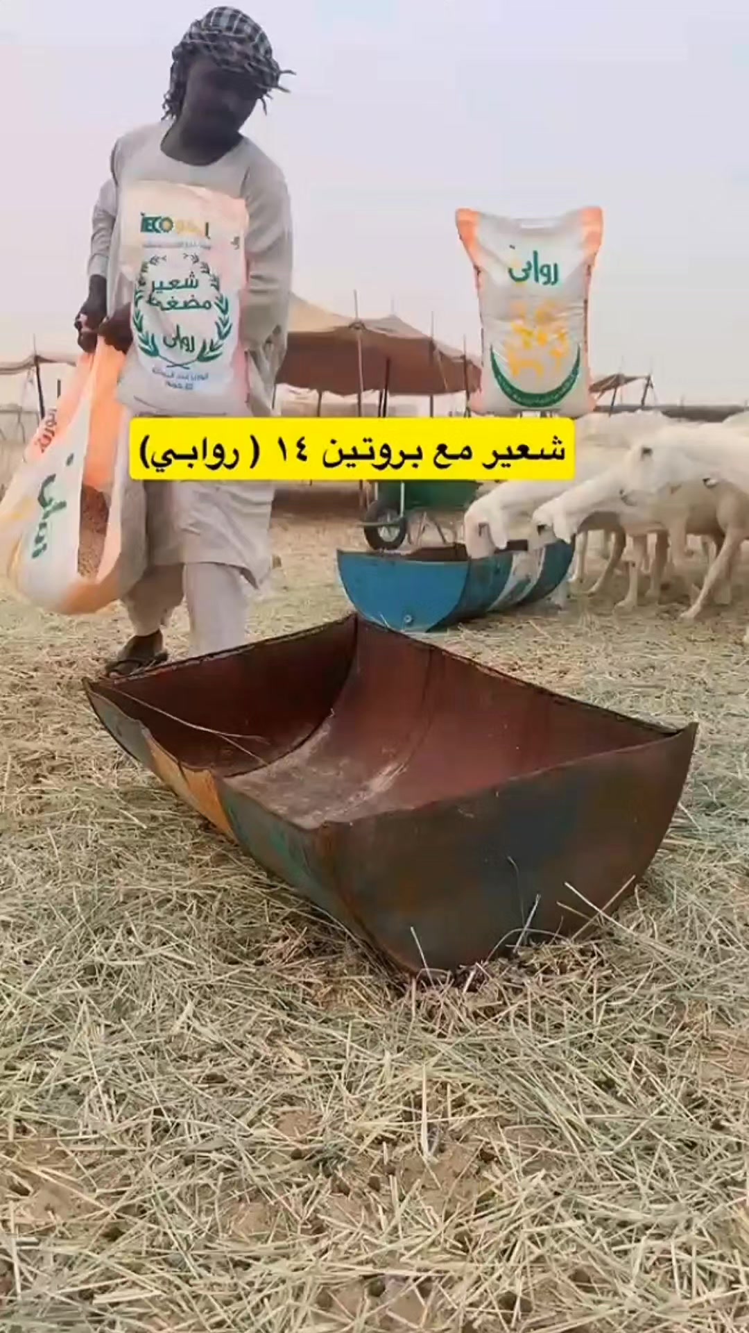 @RAWABI FEED | أعلاف روابي