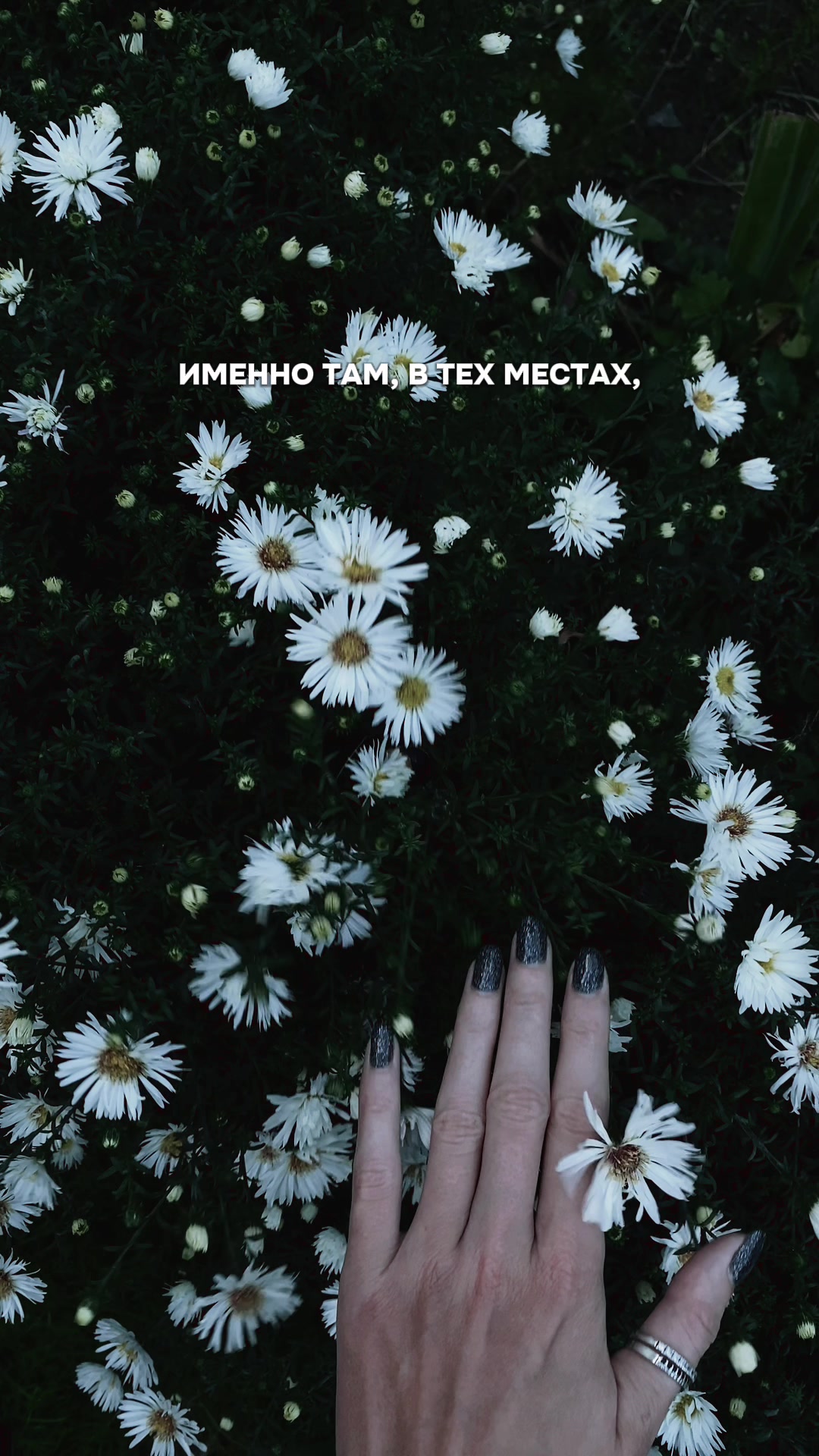 @moon_magic