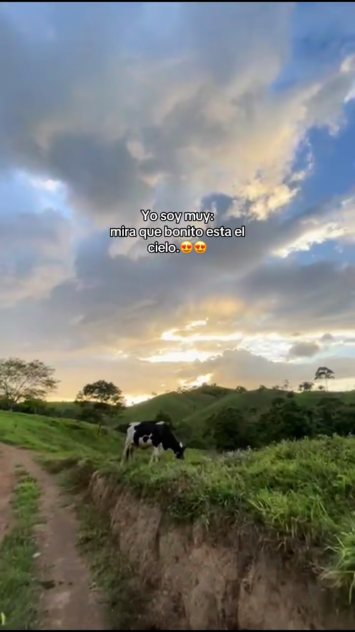 @𝙣𝙖𝙣𝙘𝙮-𝙧𝙞𝙫𝙚𝙧𝙖