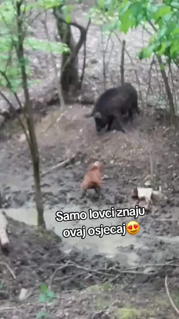 @AUDI SMRTI😈